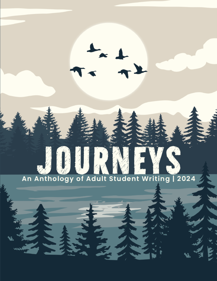 Cover of Journeys 2024. Shows a landscape of a Minnesota lake with a flock of birds flying past the moon.